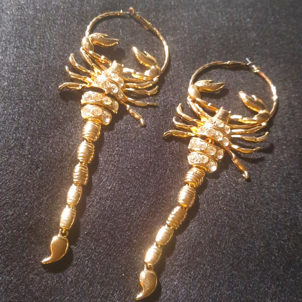 Earrings Zodiac Hoops